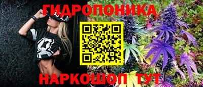 Альфа ПВП Усть-Илимск