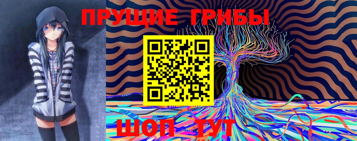 Галлюциногенные грибы прущие грибы  Вход с VPN  что такое   Архангельск 