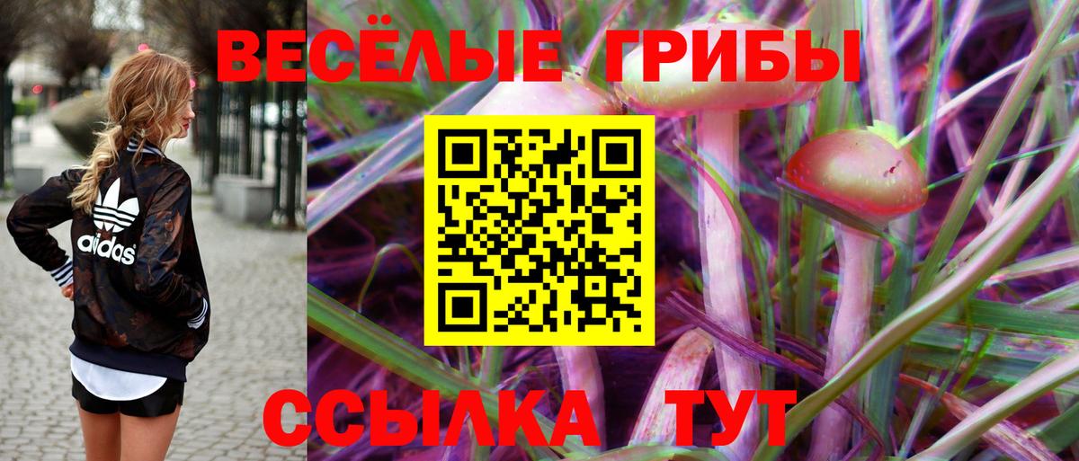 MDMA Архангельск